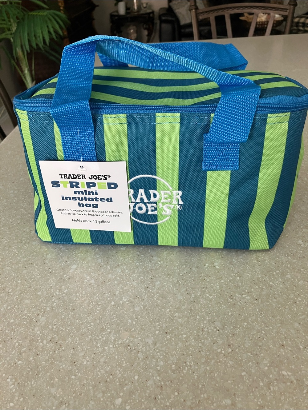NWT Striped Insulated Trader Joe’s Lunch Bag - Bright Blue & Lime